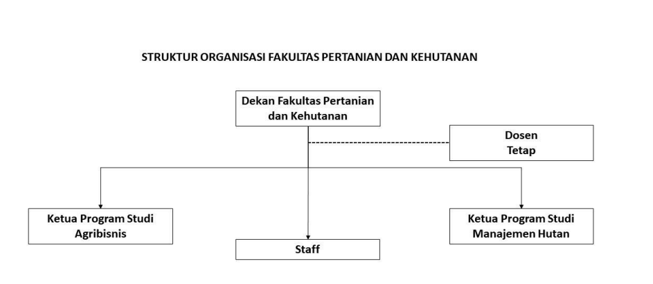 Struktur Organisasi FPKH