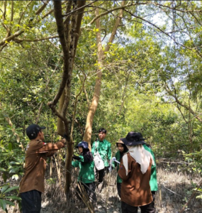 Praktikum Ekologi Hutan di Desa Nelayan, Belawan, Sumatera Utara
